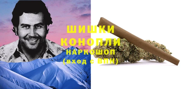 гашик Заволжск