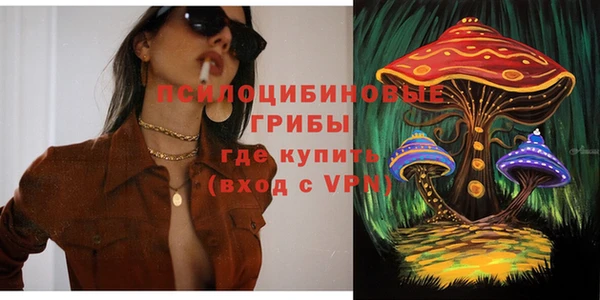 гашик Заволжск