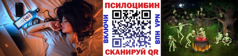Купить  Арск  Псилоцибиновые грибы Cubensis 